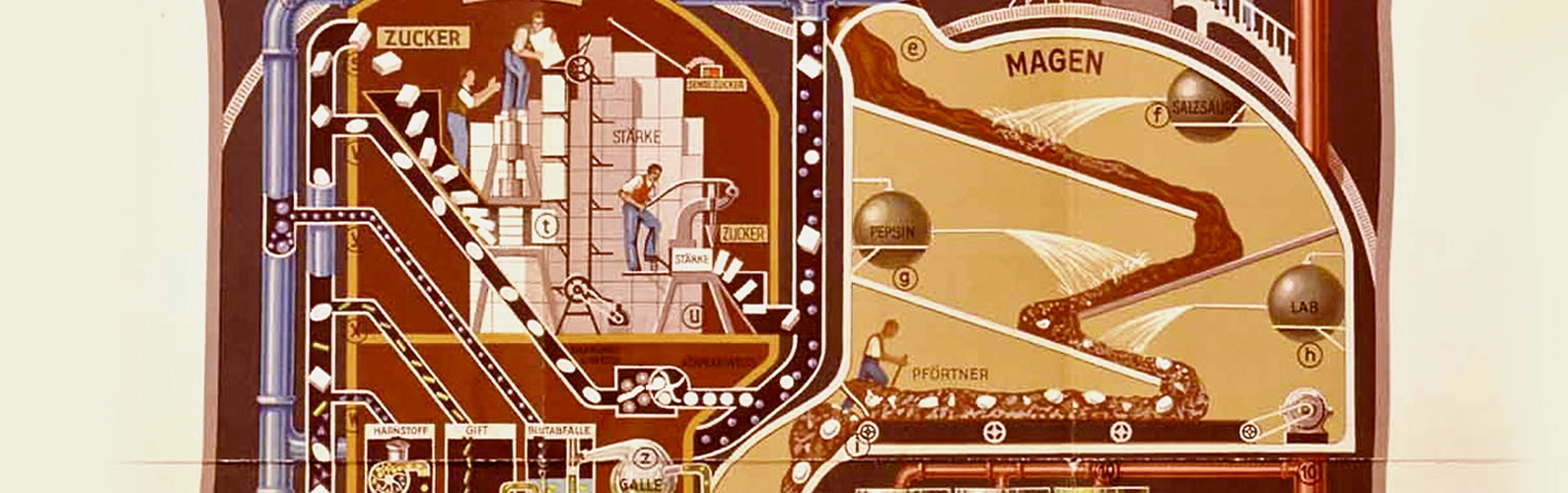 The Doctor Who Pioneered Modern Infographic Design - Twos Studio